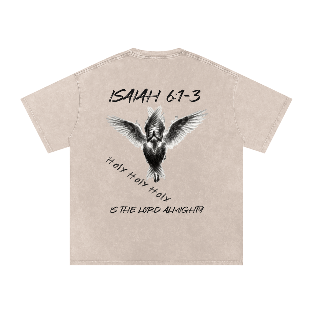 Isaiah 6:1-3  Snow Washed T-Shirt