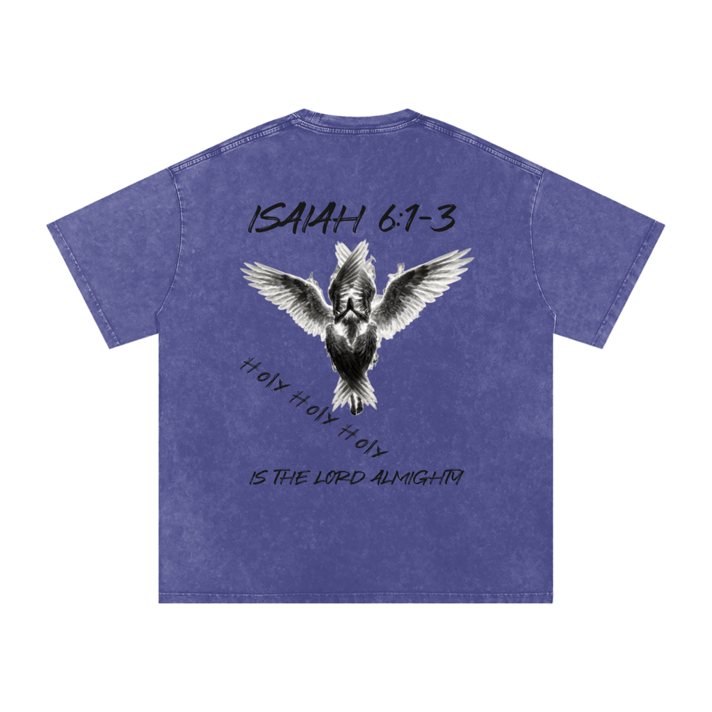 Isaiah 6:1-3  Snow Washed T-Shirt