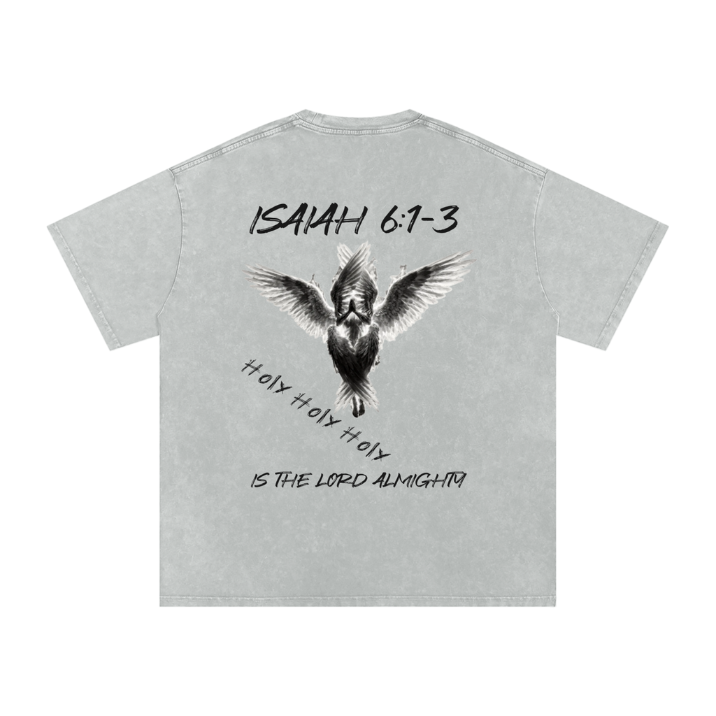 Isaiah 6:1-3  Snow Washed T-Shirt
