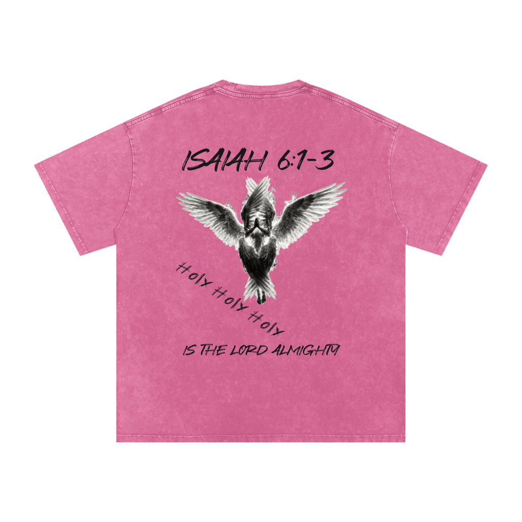 Isaiah 6:1-3  Snow Washed T-Shirt