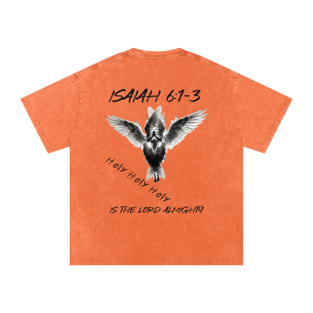 Isaiah 6:1-3  Snow Washed T-Shirt